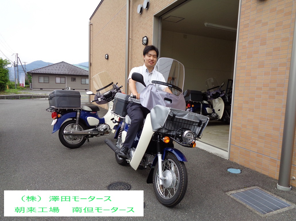 但陽様　カブ